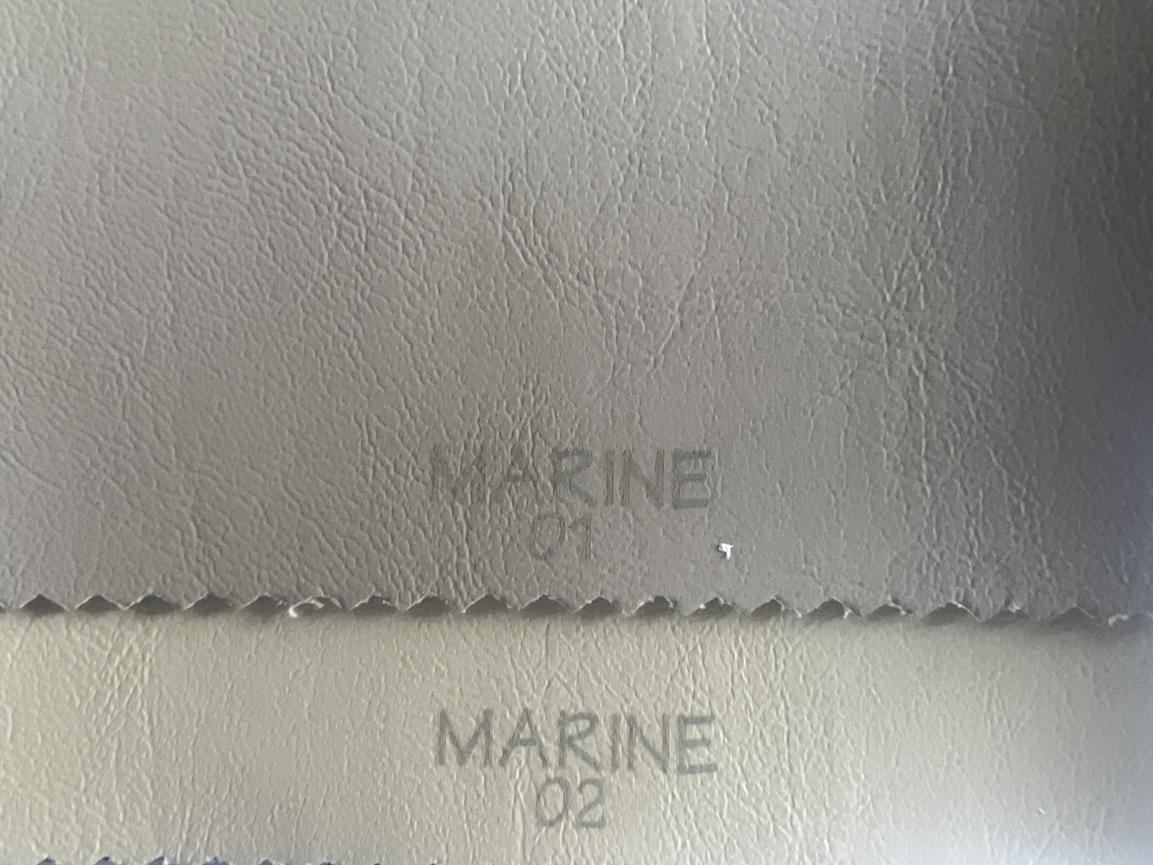 MARINE