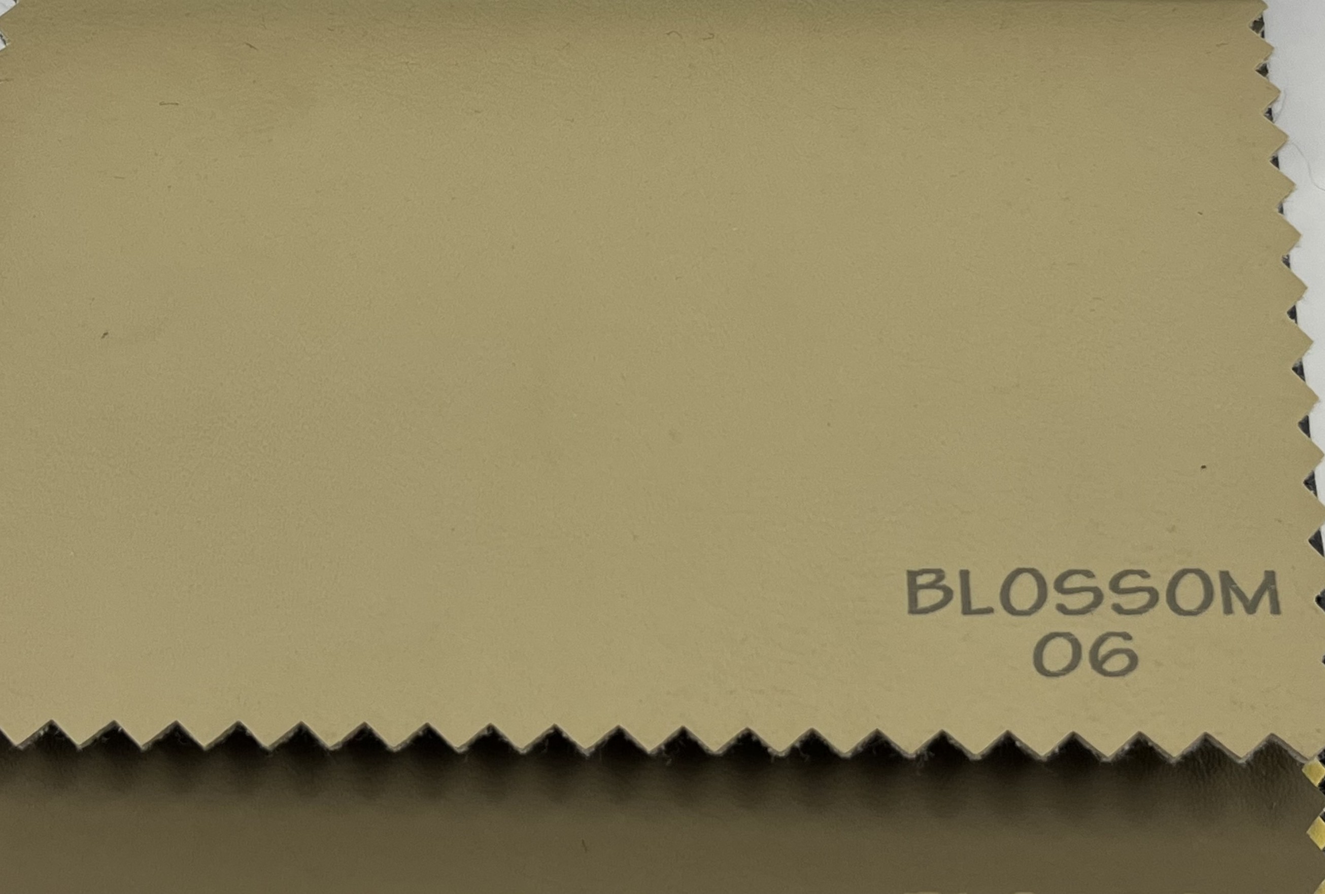 Blossom